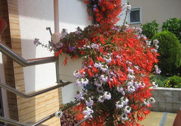 5c569a4d-b692-4bc1-ab06-0266d744b90a