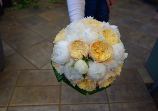 b1061b0a-2371-4cbb-9c35-4170ab341702