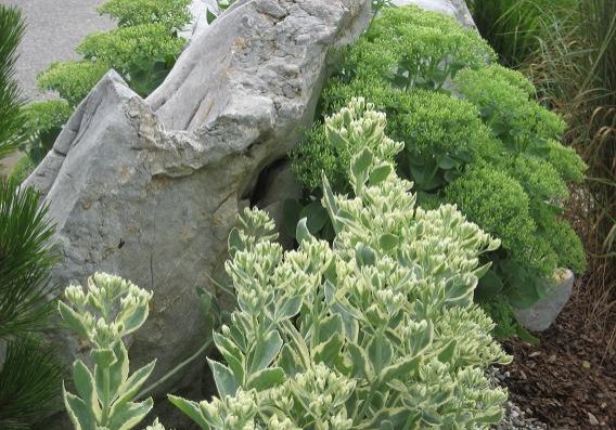 ba227b94-5397-4e44-86f4-5c46f903c31f