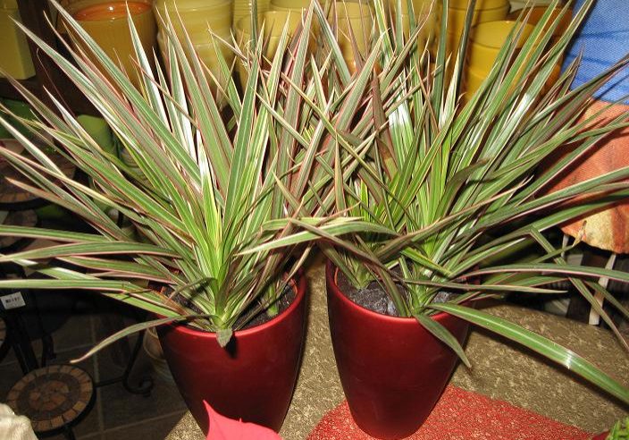 f8b9c83e-fea5-4c98-9747-d27ec83666a9